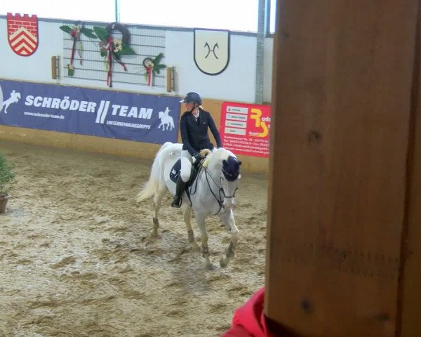 Reitturnier Borgholzhausen-Westbarthausen 2024