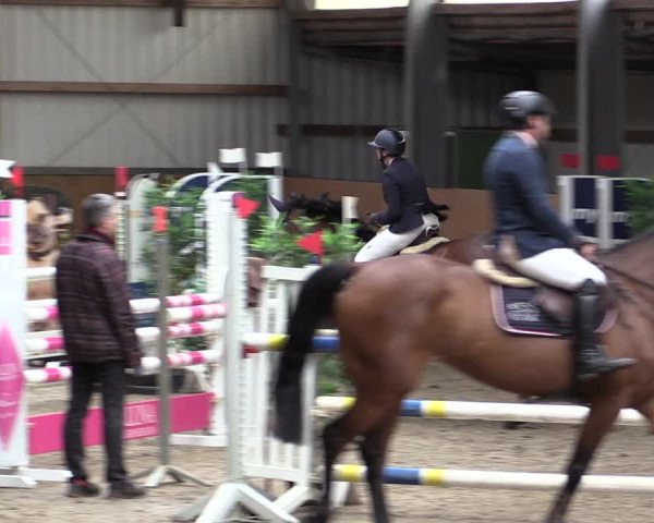 Reitturnier Schlieckau 2024