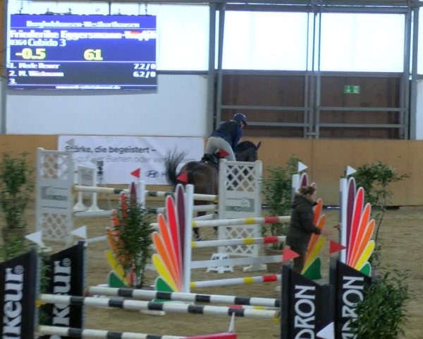 Reitturnier Borgholzhausen-Westbarthausen 2024