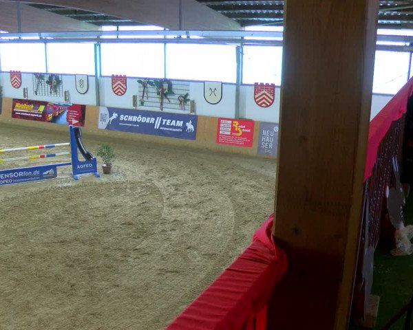 Reitturnier Borgholzhausen-Westbarthausen 2024