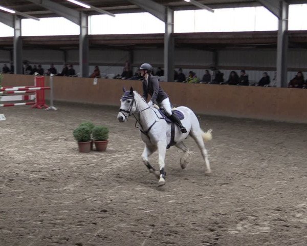 Reitturnier Schlieckau 2024