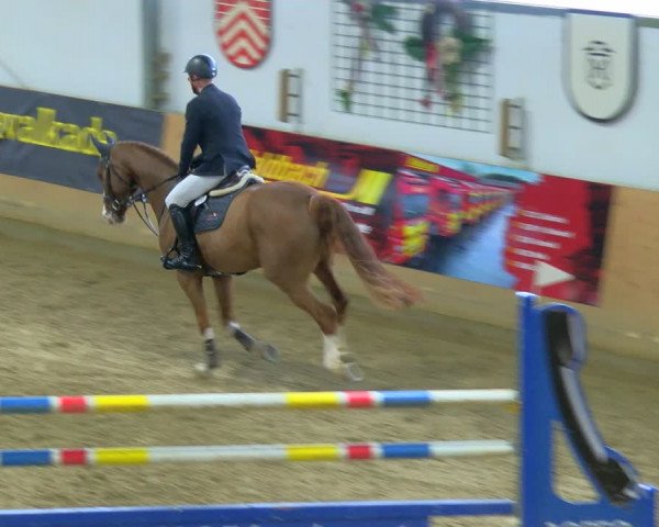 Reitturnier Borgholzhausen-Westbarthausen 2024