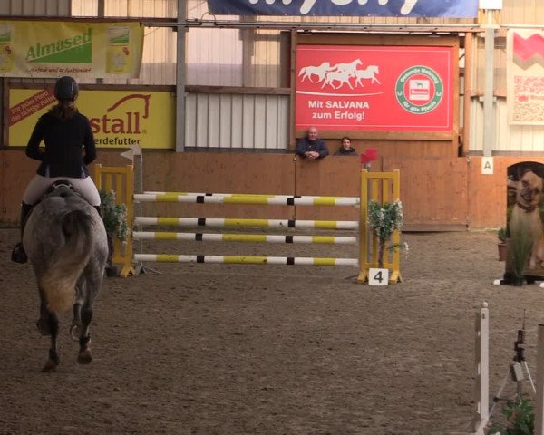Reitturnier Schlieckau 2024