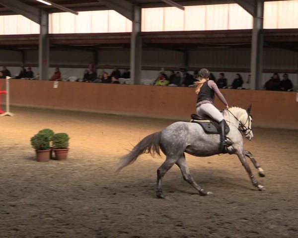 Reitturnier Schlieckau 2024