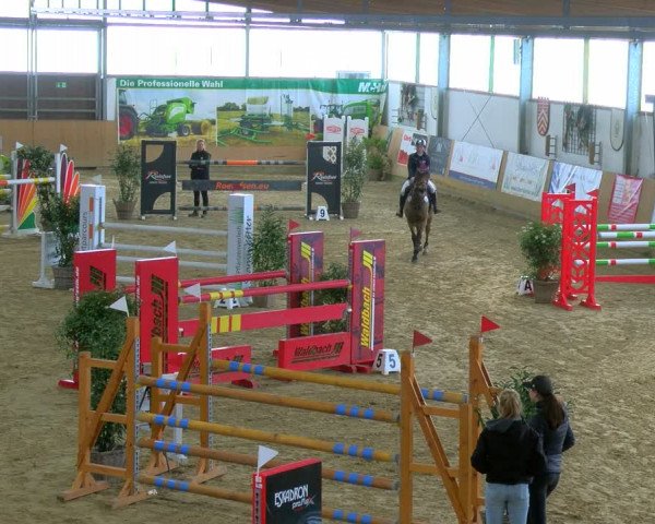 Reitturnier Borgholzhausen-Westbarthausen 2024