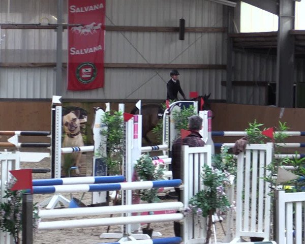 Reitturnier Schlieckau 2024