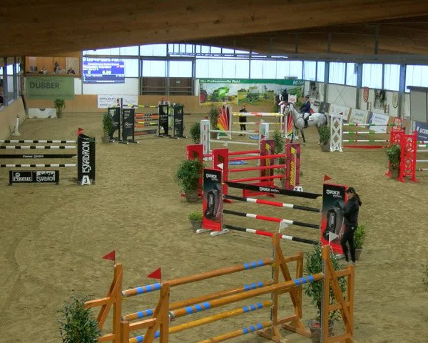 Reitturnier Borgholzhausen-Westbarthausen 2024