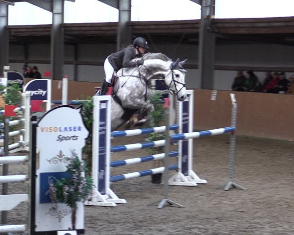 Reitturnier Schlieckau 2024