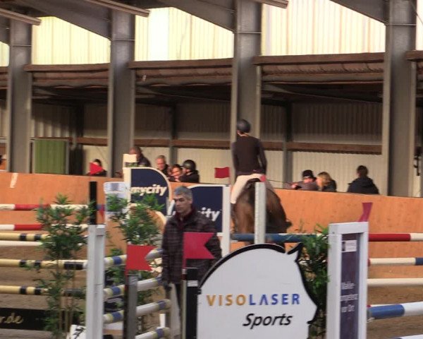 Reitturnier Schlieckau 2024