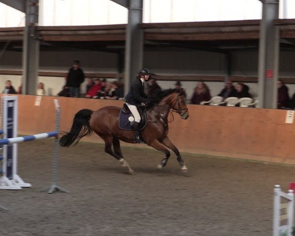 Reitturnier Schlieckau 2024