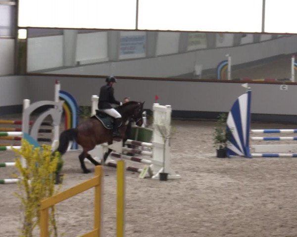 Reitturnier Münchehofe 2024