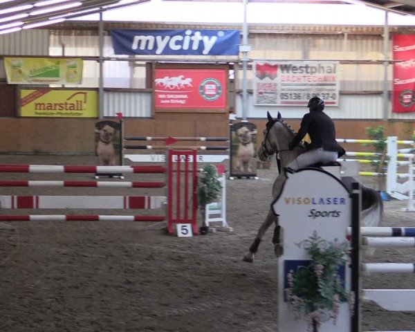 Reitturnier Schlieckau 2024