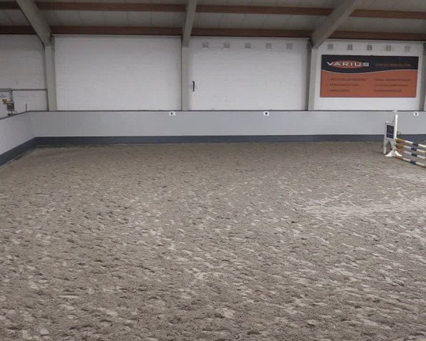 Reitturnier Münchehofe 2024