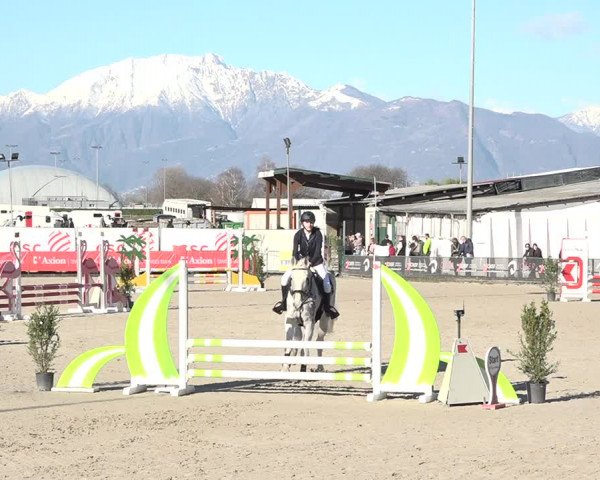 Reitturnier Giubiasco 2024