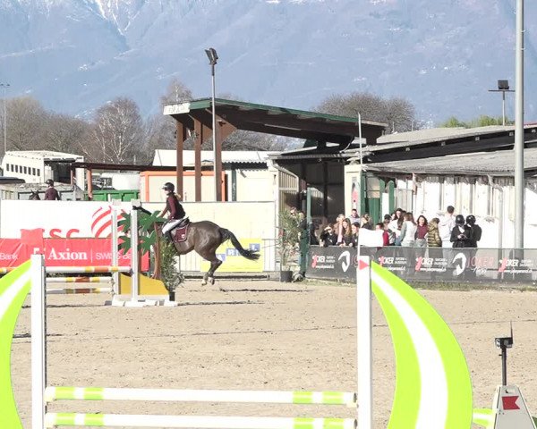 Reitturnier Giubiasco 2024