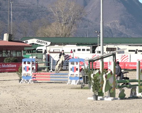 Reitturnier Giubiasco 2024