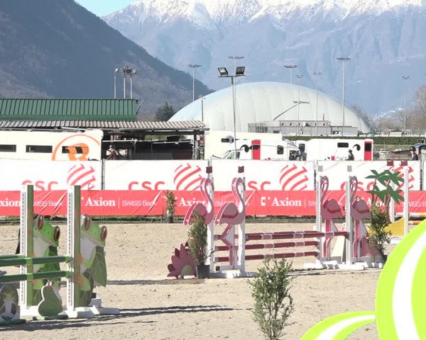Reitturnier Giubiasco 2024