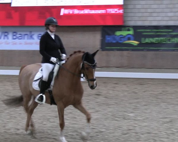 Reitturnier Leverkusen-Rheindorf 2024