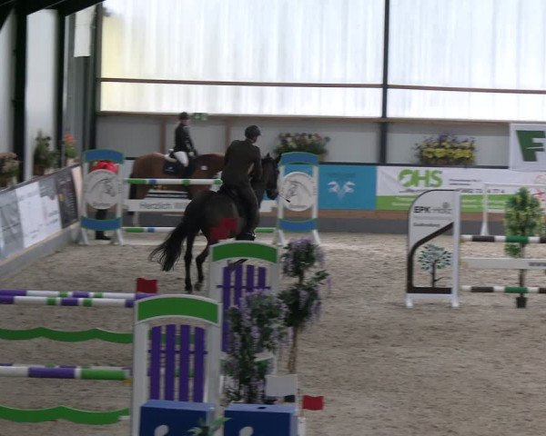 Reitturnier Borken 2024