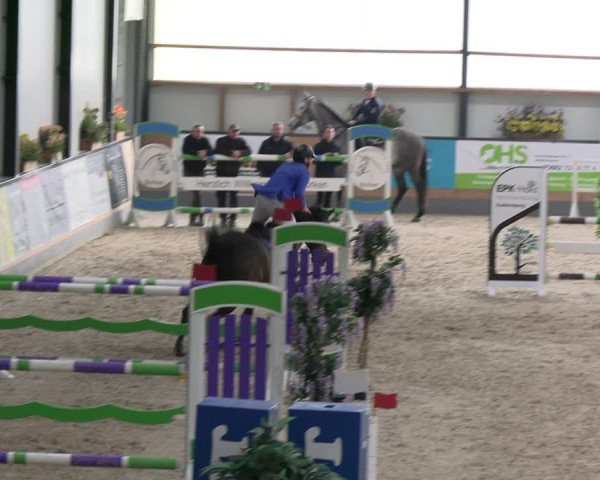 Reitturnier Borken 2024