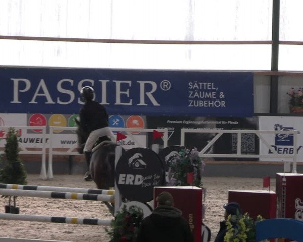 Reitturnier Borken 2024