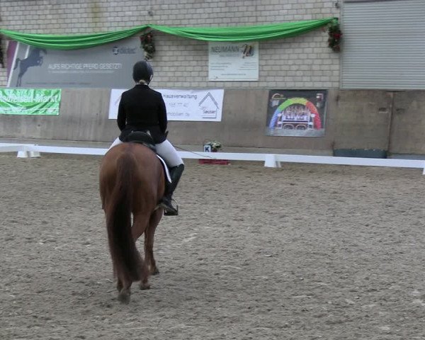 Reitturnier Leverkusen-Rheindorf 2024