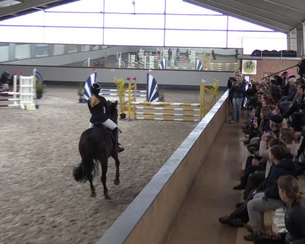 Reitturnier Münchehofe 2024