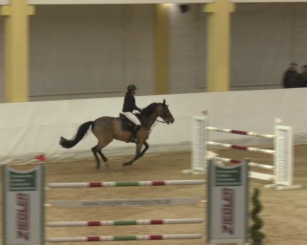 Reitturnier Stadl-Paura 2024