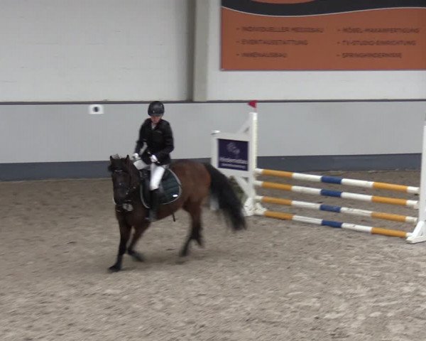 Reitturnier Münchehofe 2024