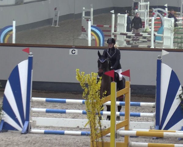 Reitturnier Münchehofe 2024