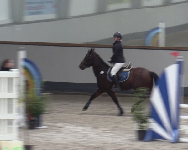 Reitturnier Münchehofe 2024