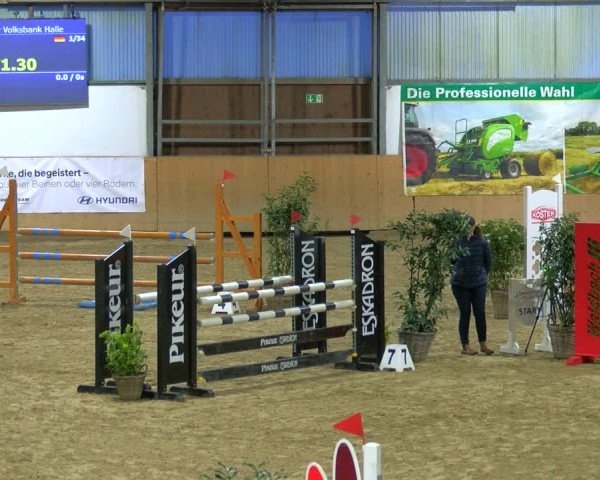 Reitturnier Borgholzhausen-Westbarthausen 2024