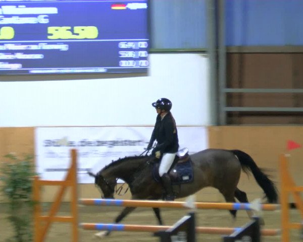Reitturnier Borgholzhausen-Westbarthausen 2024