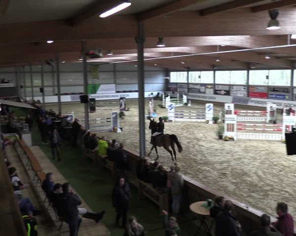 Reitturnier Goch 2024