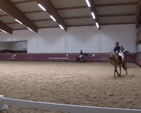 Reitturnier Eicherloh RH Laurent/Obb. 2024