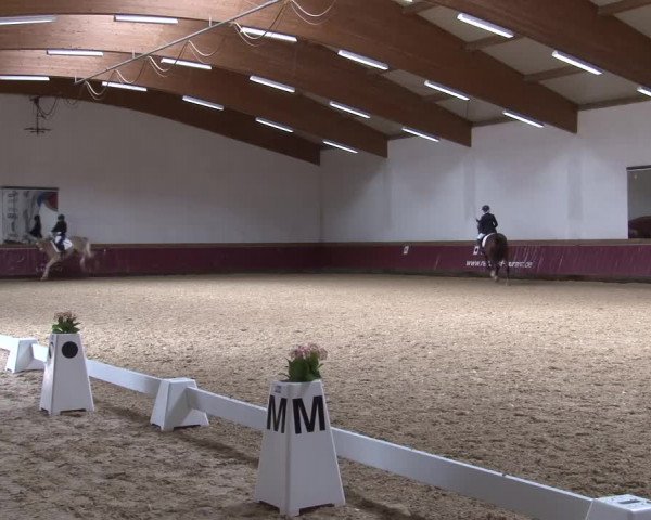 Reitturnier Eicherloh RH Laurent/Obb. 2024