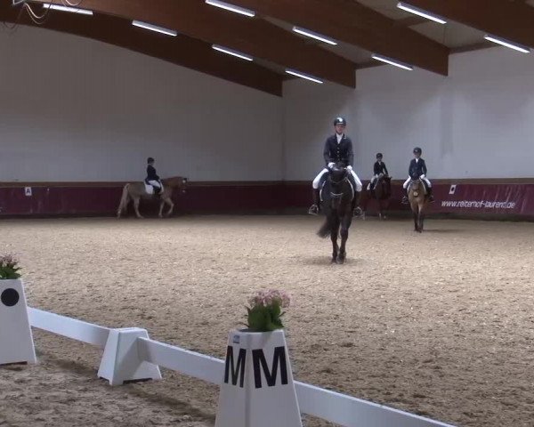 Reitturnier Eicherloh RH Laurent/Obb. 2024