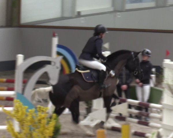 Reitturnier Münchehofe 2024