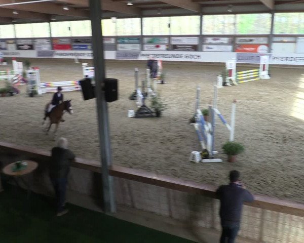 Reitturnier Goch 2024