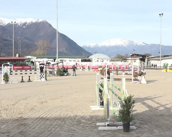 Reitturnier Giubiasco 2024