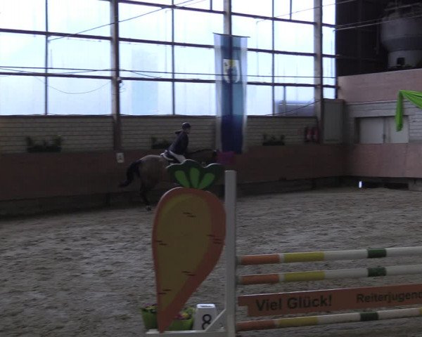 Reitturnier Hellefeld 2024