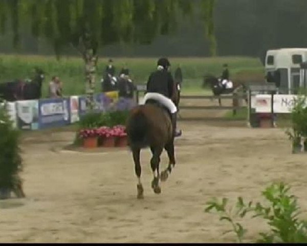 Reitturnier Waltrop 2011