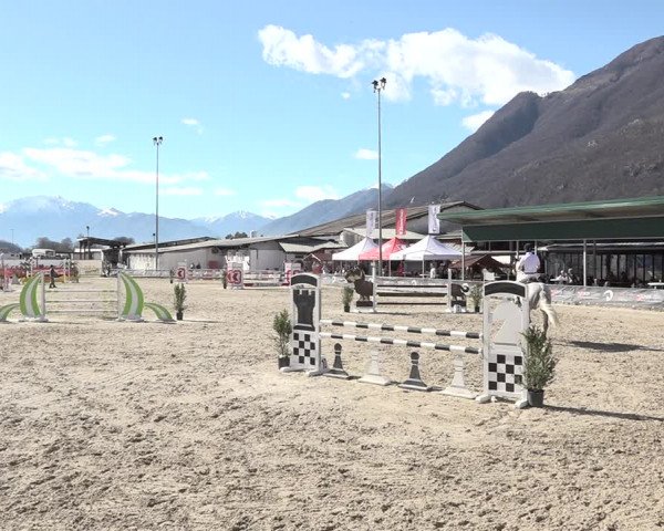 Reitturnier Giubiasco 2024