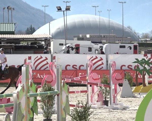 Reitturnier Giubiasco 2024