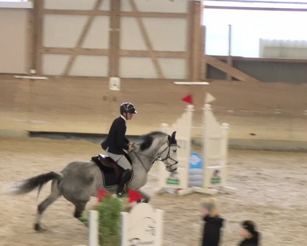 Reitturnier Schaffhausen 2024
