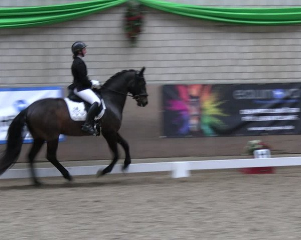 Reitturnier Leverkusen-Rheindorf 2024