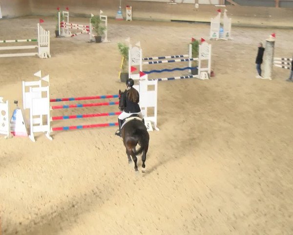 Reitturnier Schaffhausen 2024