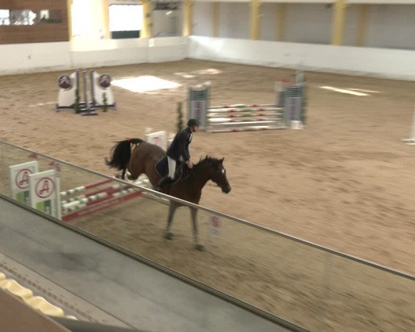 Reitturnier Stadl-Paura 2024