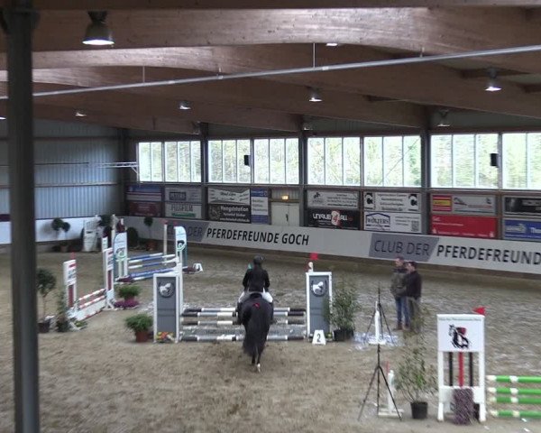 Reitturnier Goch 2024