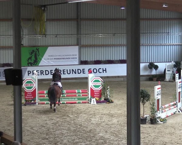 Reitturnier Goch 2024